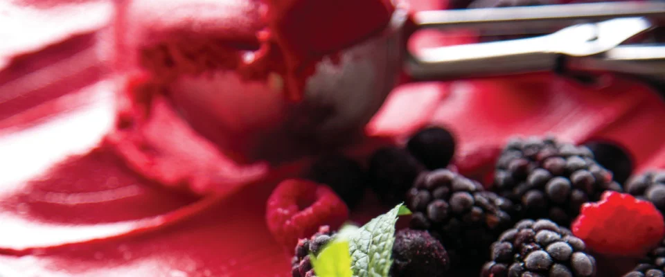 Berries, mint leaf and sauce next to a sorbert