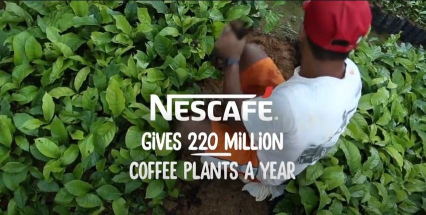 Nestlé Professional | NESCAFÉ | Sustainability & Plantlets