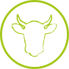 cow icon