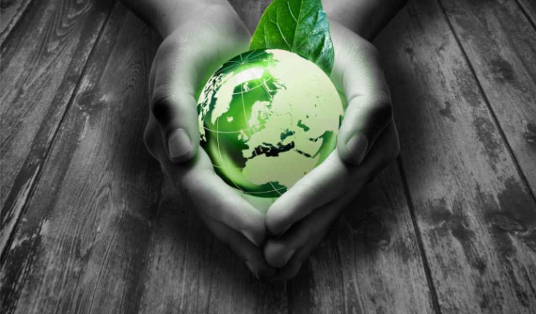 hands holding green earth