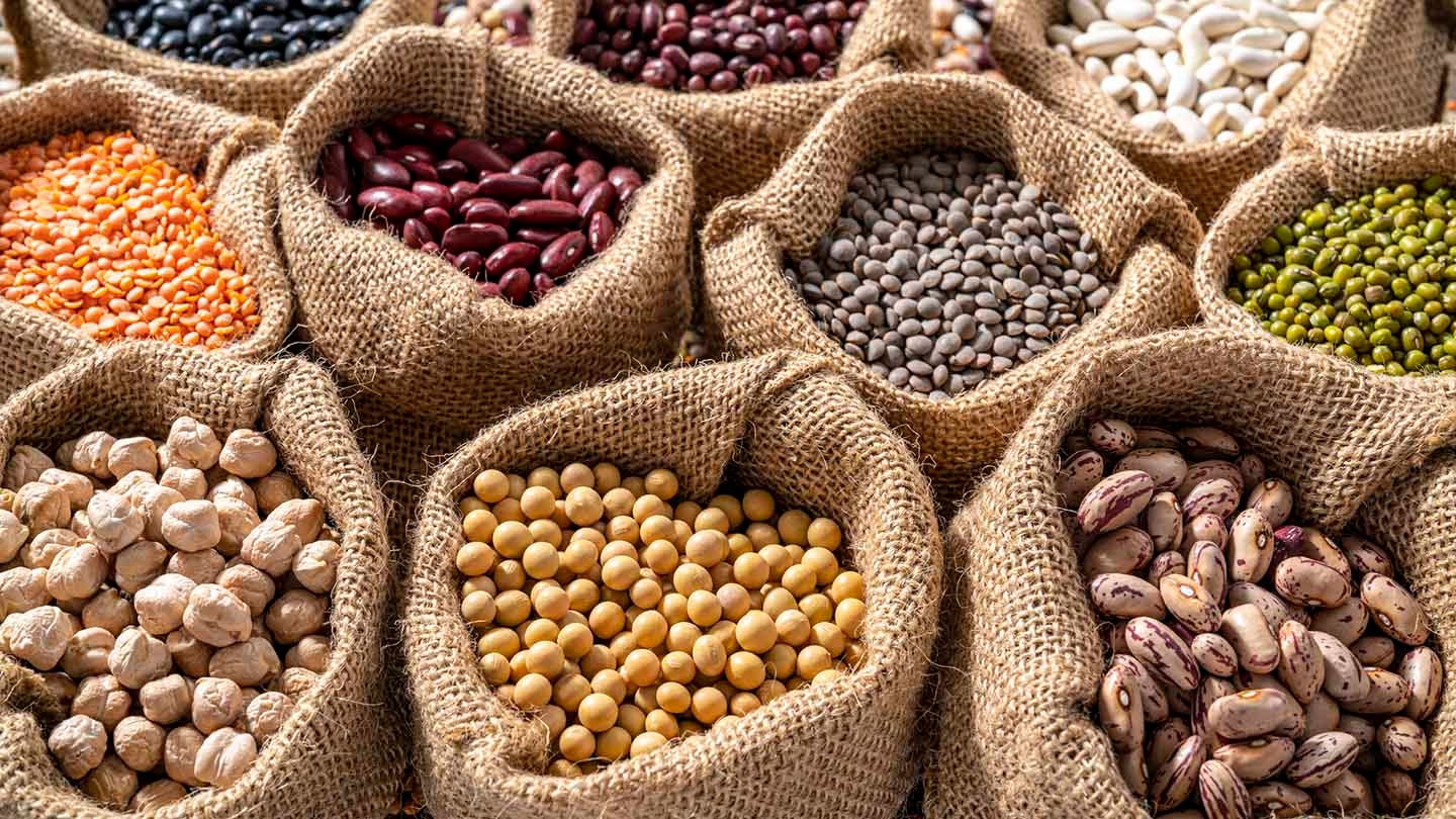 sacks of legumes and beans
