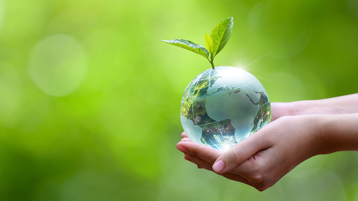 a person holding a clear globe in their hands