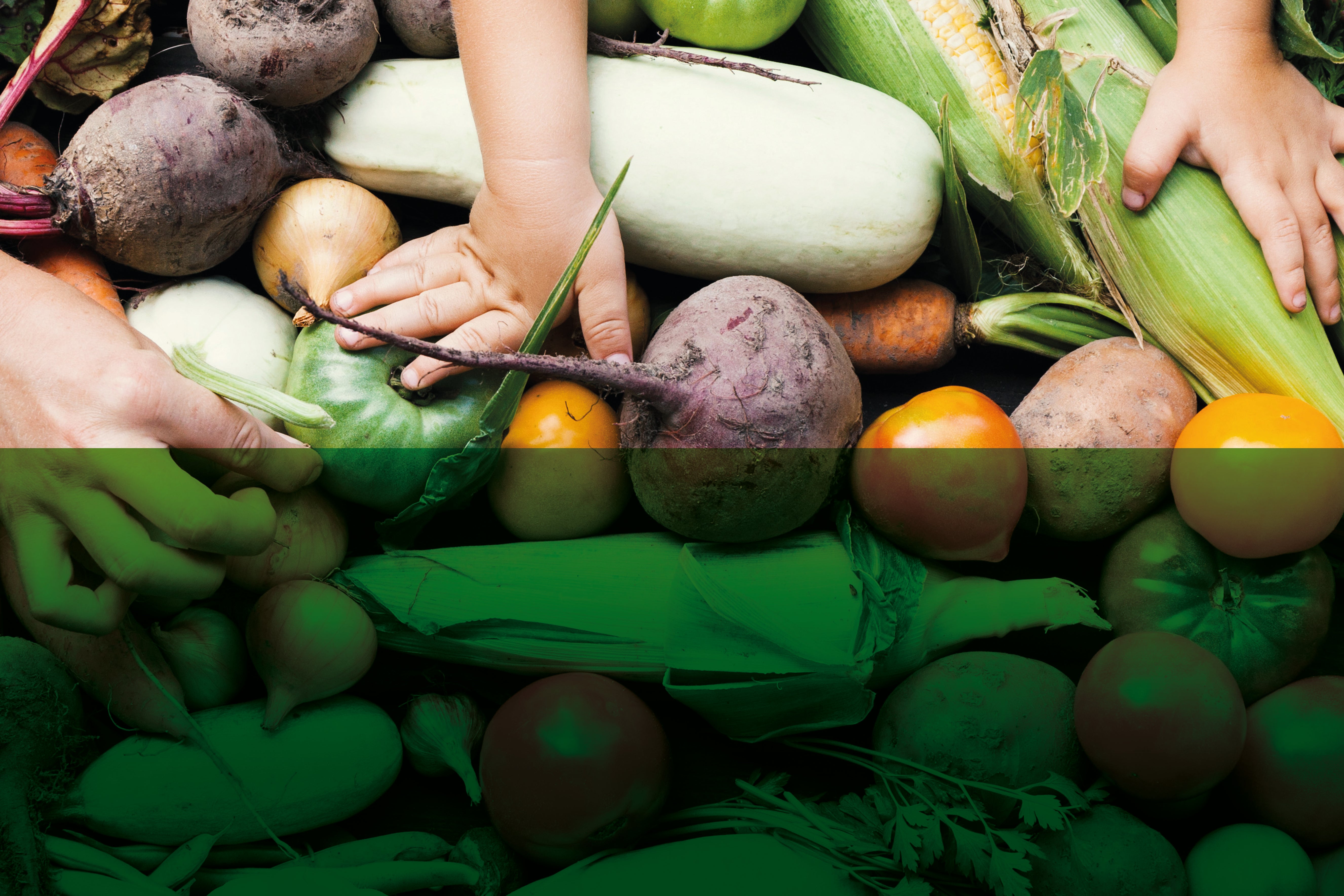 pile of mixed vegetables with hands on them