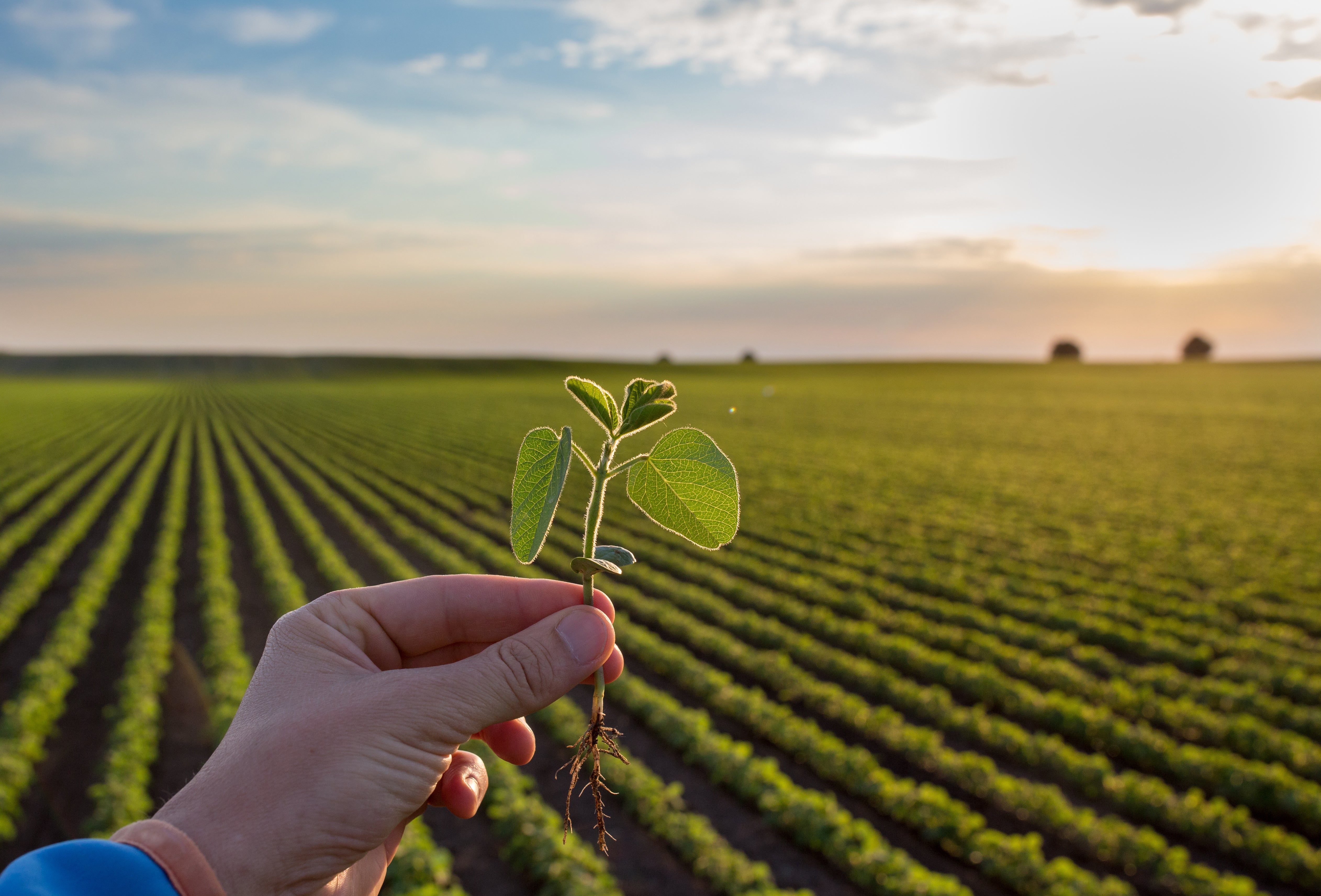 Sustainability Nestle