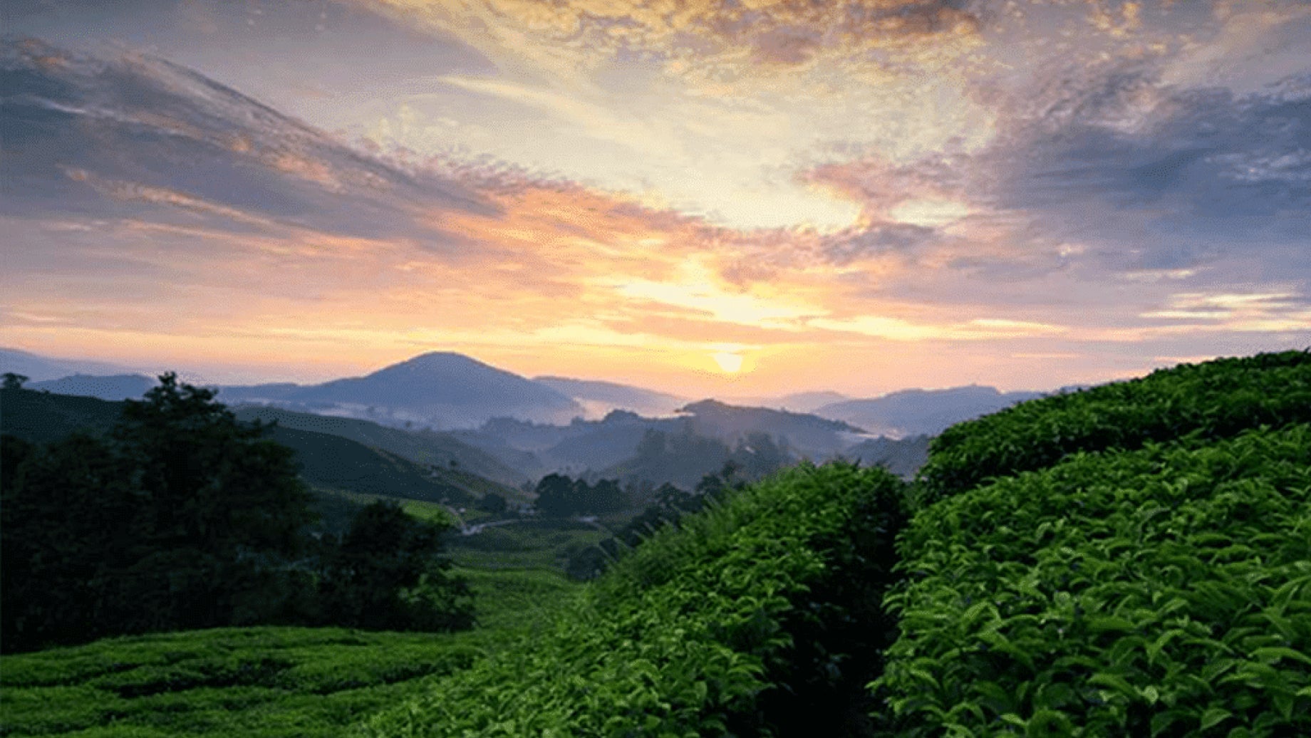 Image of green mountain