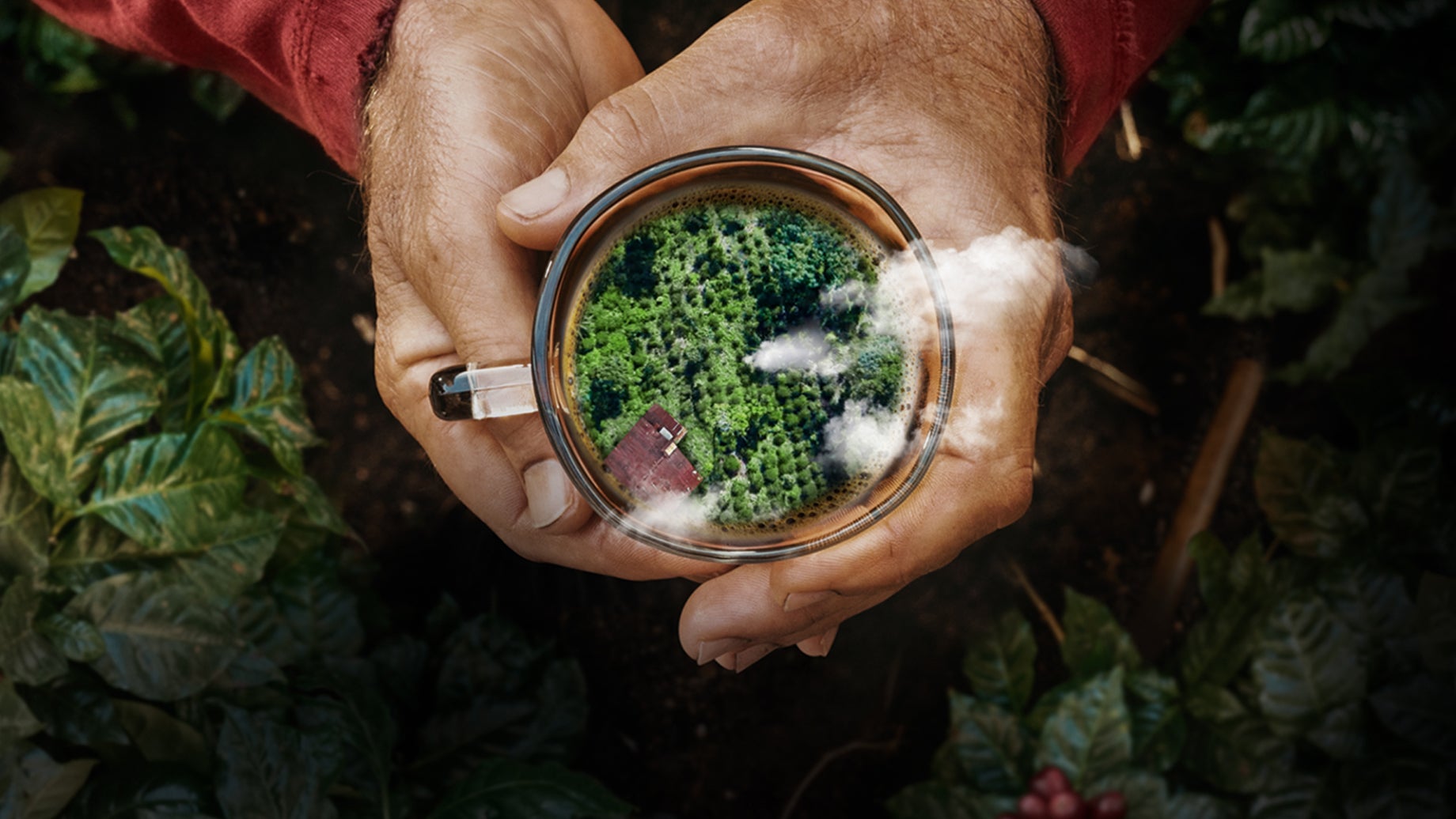 Sustainability image