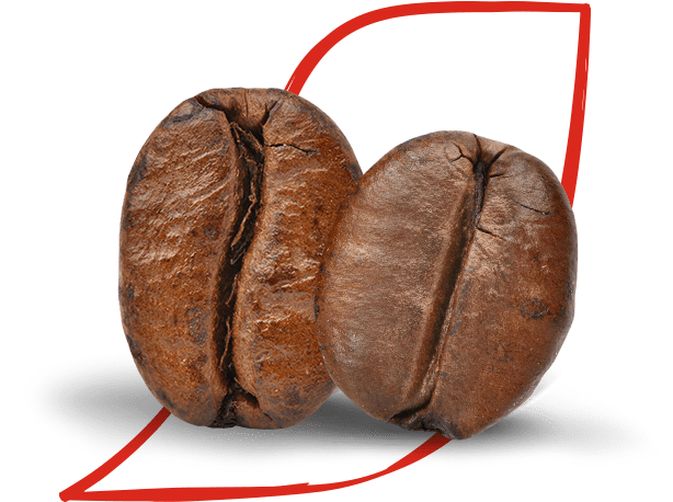 NESCAFE coffee beans