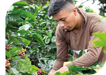 nescafe-support-to-local-communities