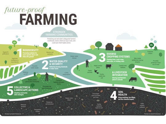 graphic on regenerative agriculture farming