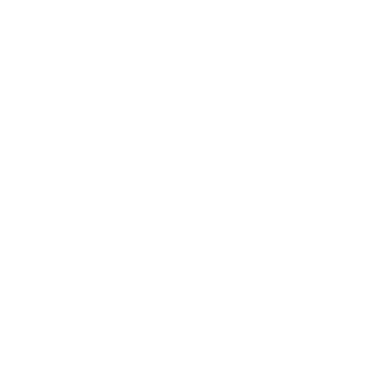 point of sale icon