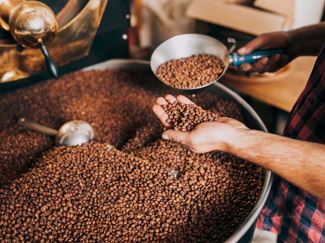 How Does a Bean-to-Cup Coffee Machine Work?