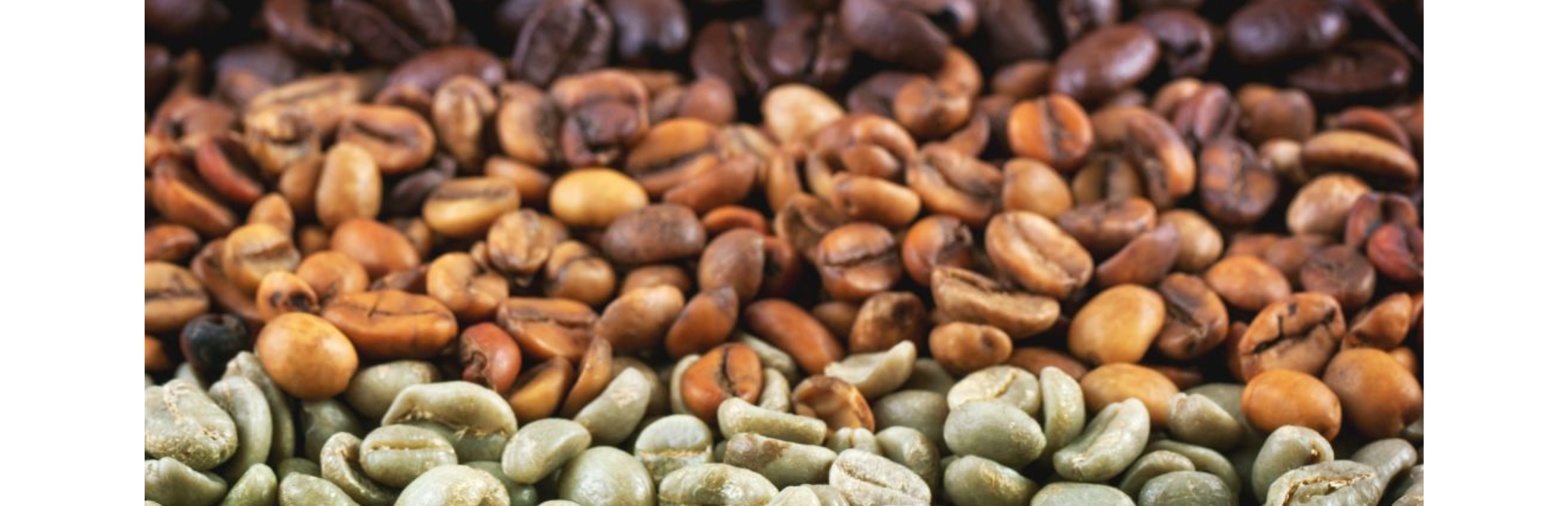 The Different Types of Coffee Beans