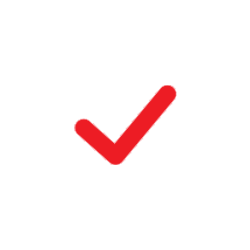 Red tick icon