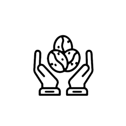 hands cupping coffee beans icon