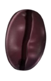 Coffee bean Dark Roast