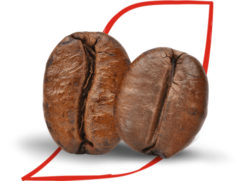 NESCAFE coffee beans