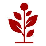 Seattle's Best Coffee plant based icon