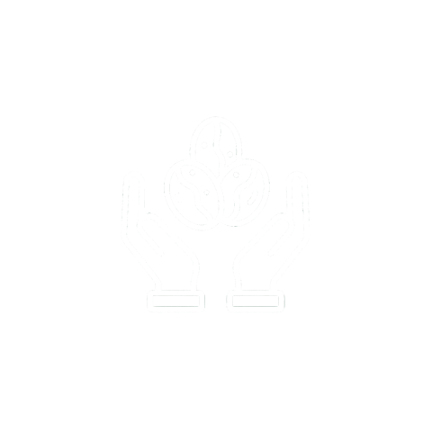 hands holding coffee beans