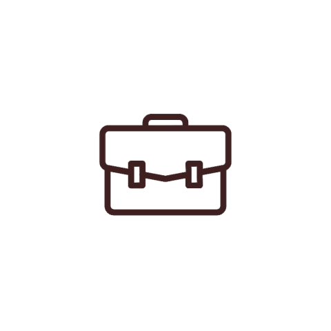 briefcase icon