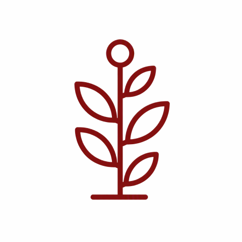coffee plant icon
