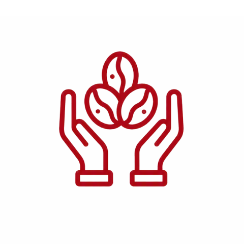 hand holding coffee beans icon