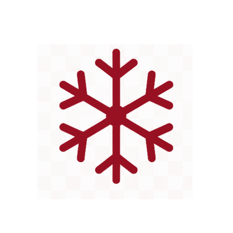 snowflake icon