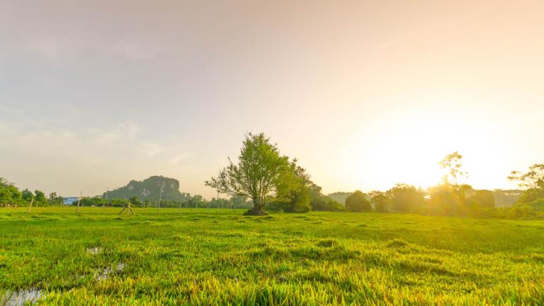A natural landscape