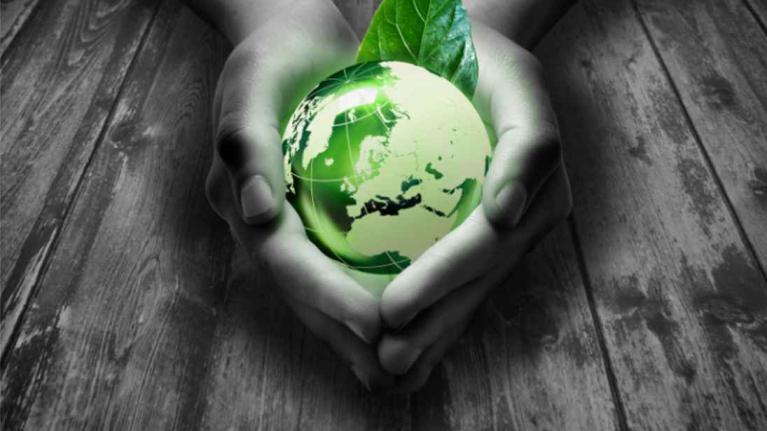 hands holding green earth
