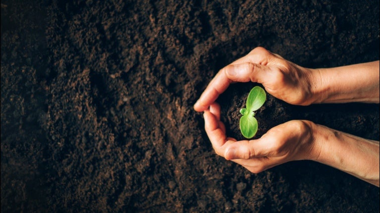 farming image of hands planting