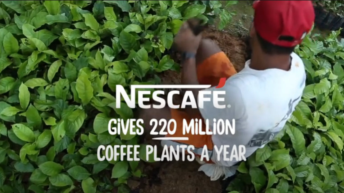 Nestlé Professional | NESCAFÉ | Sustainability &amp; Plantlets