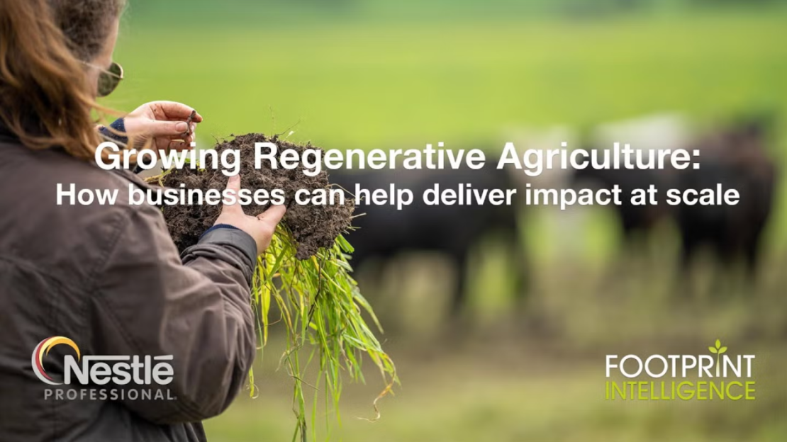 Regenerative agriculture for businesses with Nestlé Professional