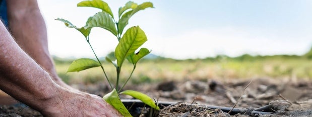 Sustainability Nestle 2025