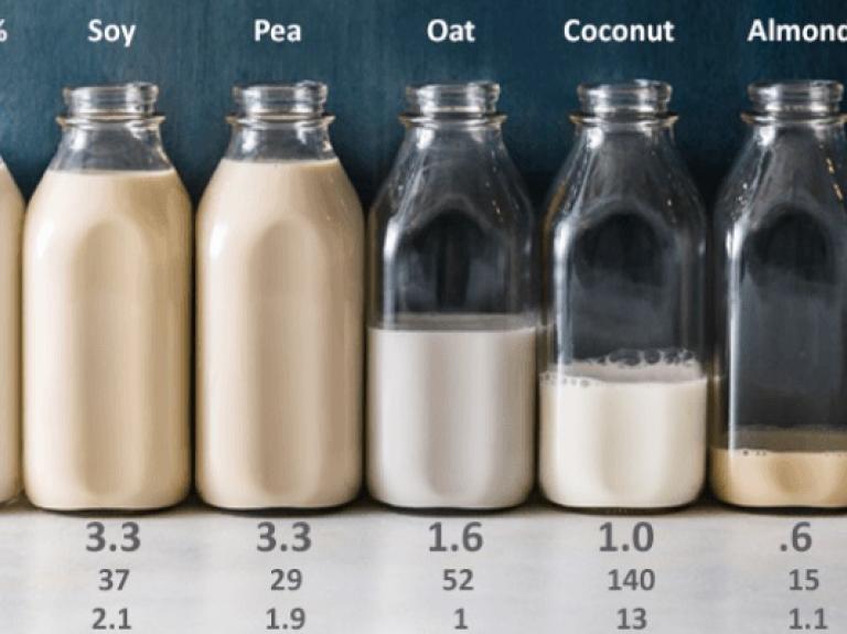 Milk choices