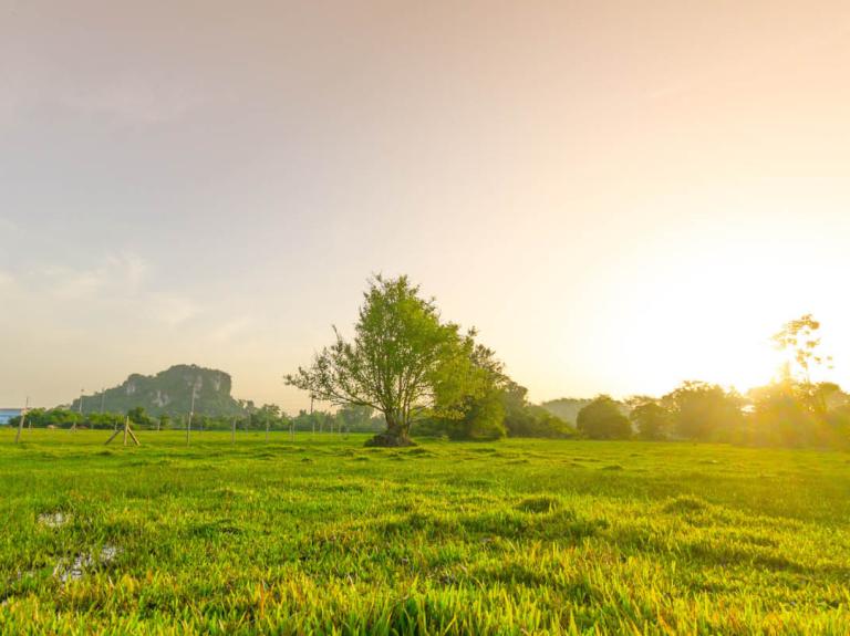 A natural landscape