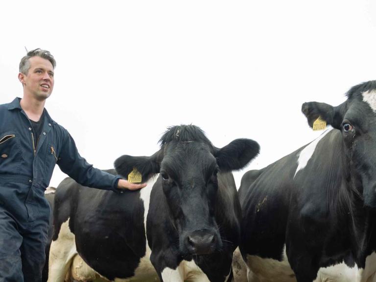 Farmer with animals