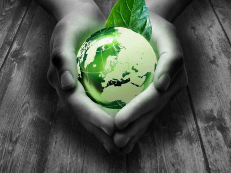 hands holding green earth
