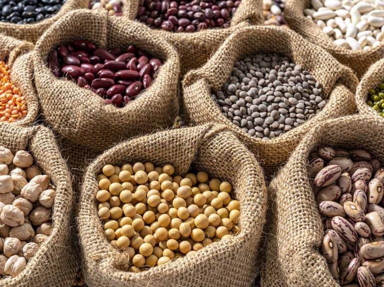 sacks of legumes and beans