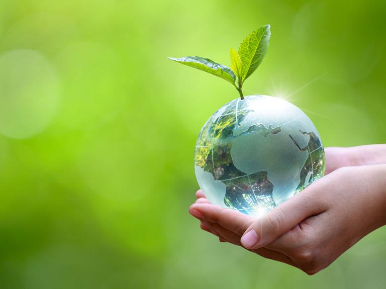 a person holding a clear globe in their hands