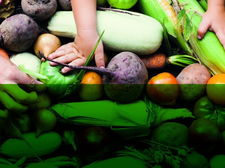 pile of mixed vegetables with hands on them