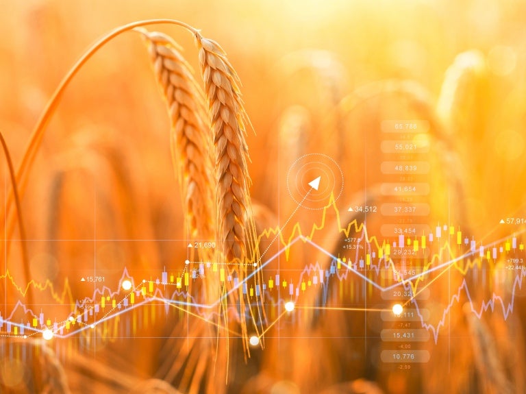 Innovation and sustainability thrive article