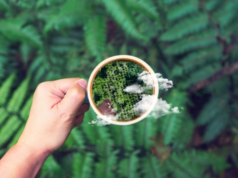 Sustainability