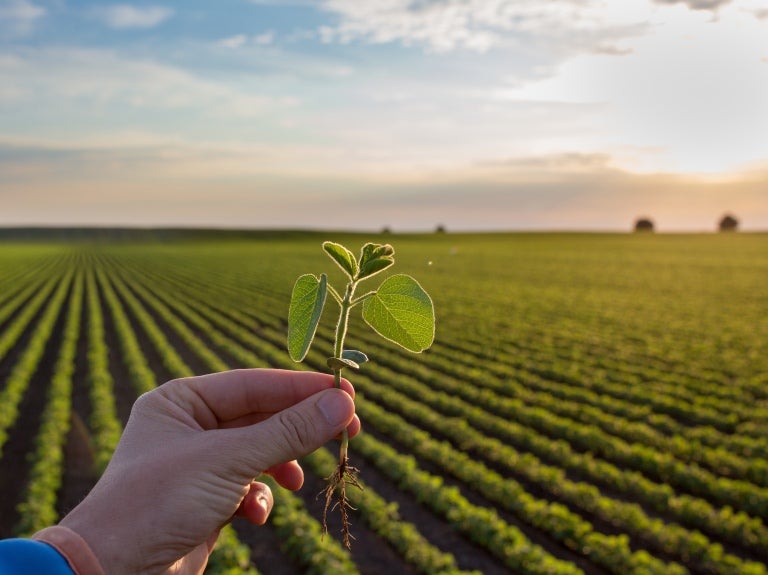 Sustainability Nestle