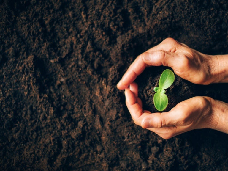 farming image of hands planting