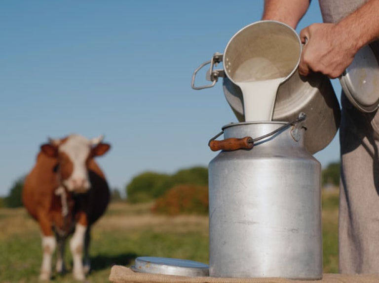 milk-first-banner