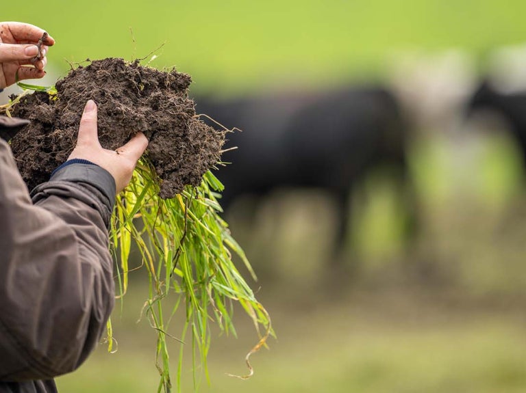 Person looking at farm soil