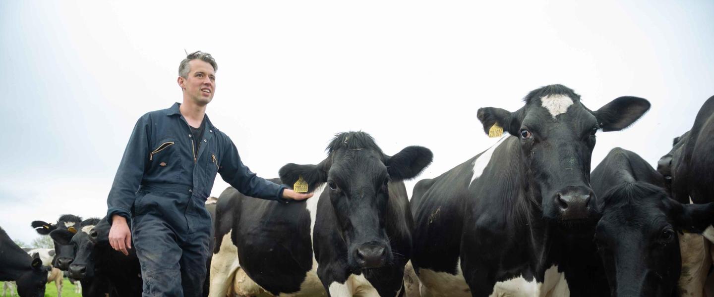 Farmer with animals