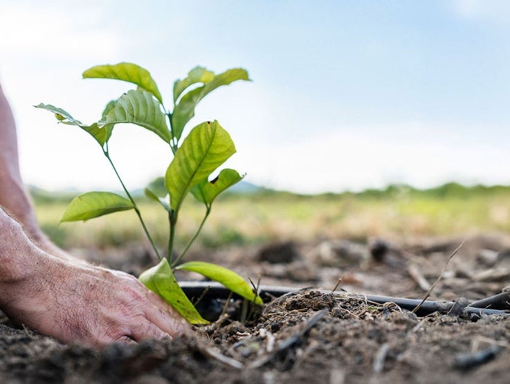 Sustainability Nestle 2025