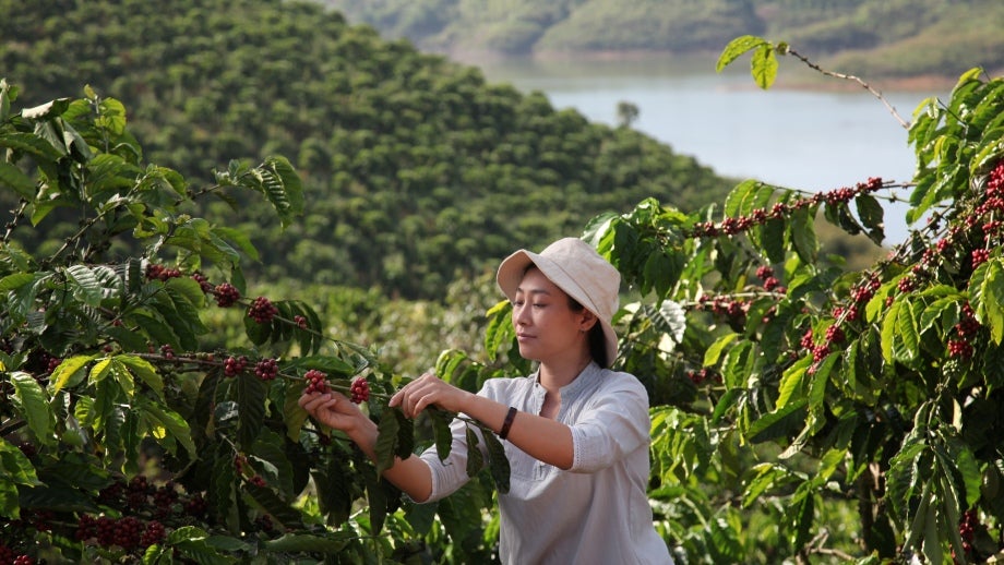 Agriculture Nestle