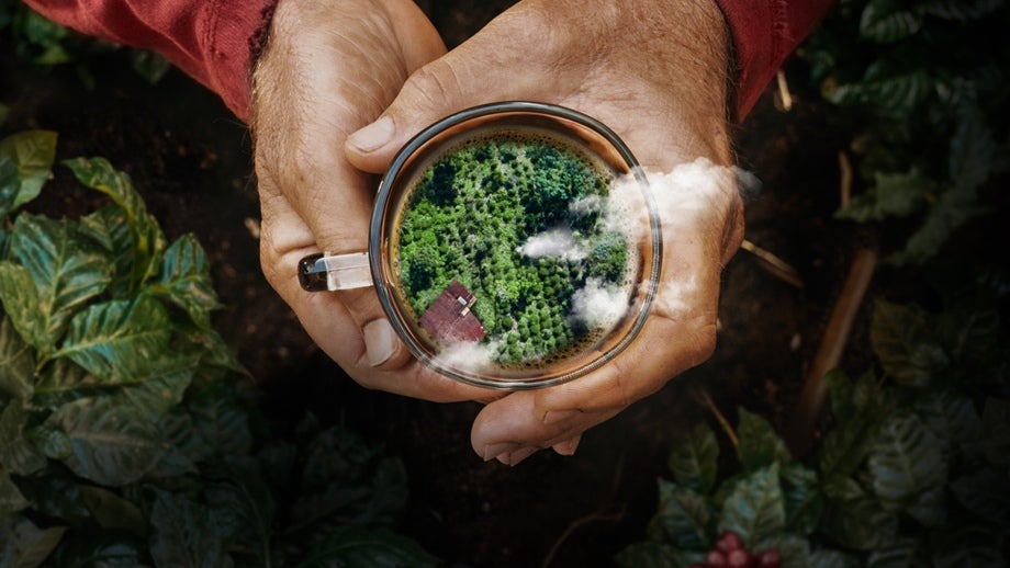 Sustainability image