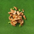 Cooked vegan fillet pieces 